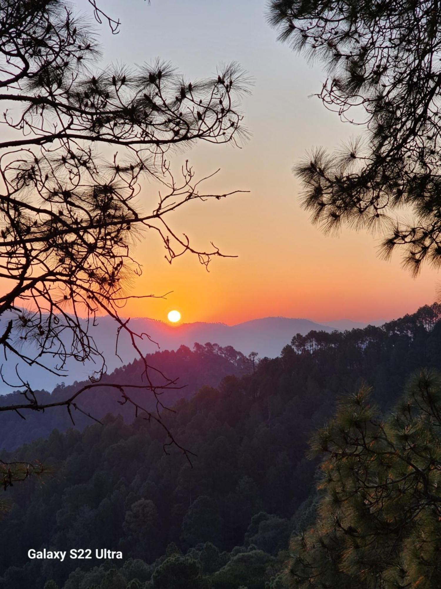 Nandini Cottage, A Premium Boutique Homestay Ranikhet Exterior photo